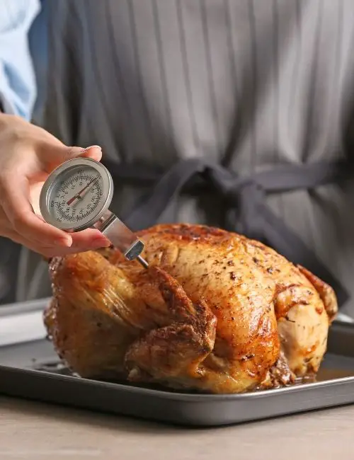 how to check temperature of a turkey