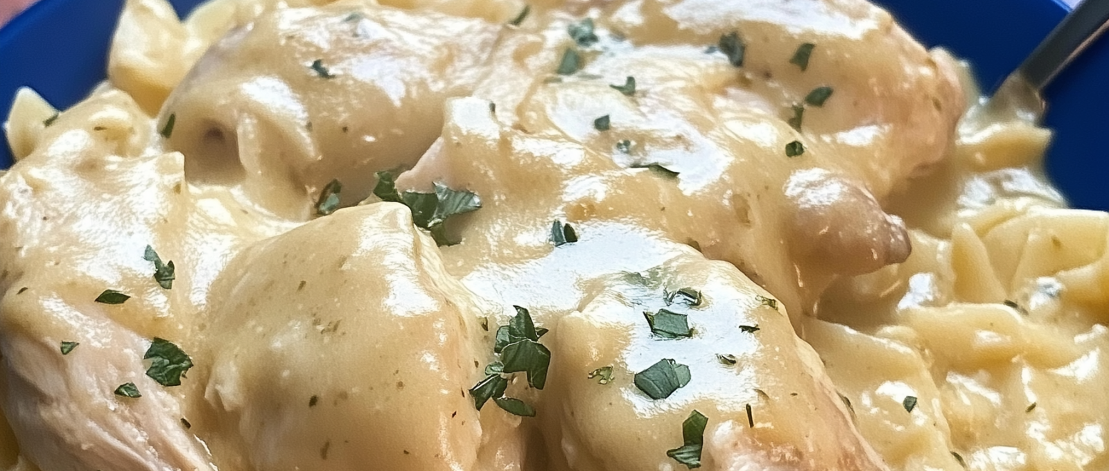 Slow Cooked Chicken Gravy 2 1